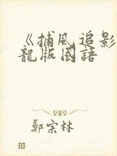 《捕风追影》成龙版国语 《捕风追影》成龙版国语