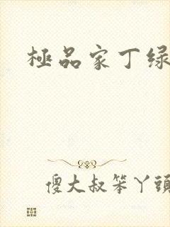 极品家丁绿帽版
