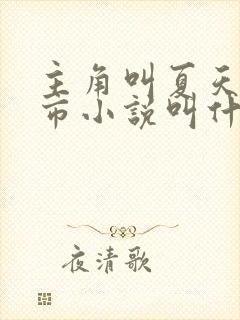主角叫夏天的都市小说叫什么名字 主角叫夏天的都市小说叫什么名字