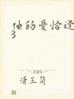 他的爱恰逢其时3
