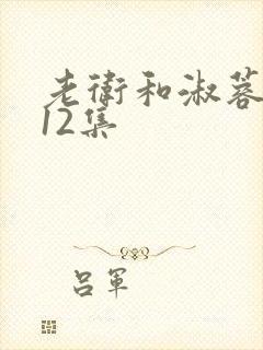老卫和淑蓉7—12集