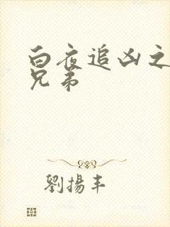 白夜追凶之龙虎兄弟