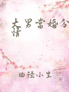 大男当婚分集剧情