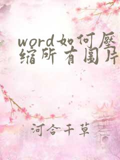 word如何压缩所有图片大小