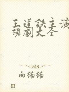 王道铁主演的电视剧大全