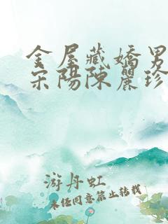 金屋藏娇男主角宋阳陈丽珍