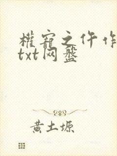 权宠之仵作医妃txt网盘