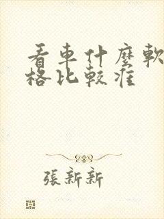 看车什么软件价格比较准