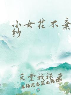 小女花不弃半壶纱