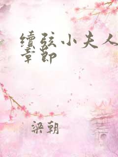 续弦小夫人全部章节
