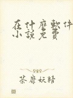 在什么软件上看小说免费