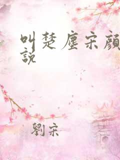 叫楚尘宋颜的小说