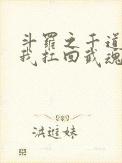 斗罗之千道流把我扛回武魂殿