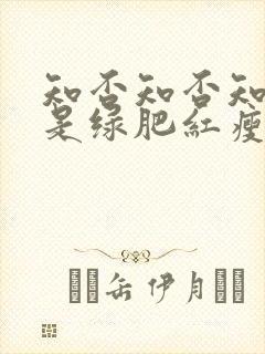 知否知否知否应是绿肥红瘦是哪朝的