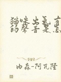 猫咪出气有呼呼的声音是怎么回事