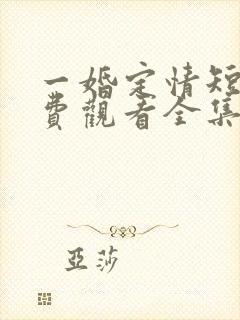 一婚定情短剧免费观看全集