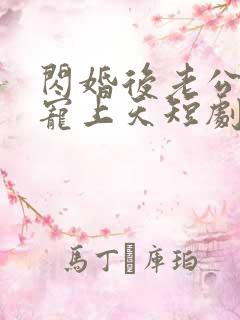 闪婚后老公把我宠上天短剧免费观看