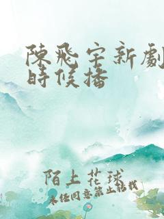 陈飞宇新剧什么时候播