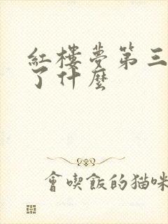 红楼梦第三回讲了什么