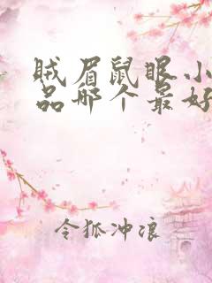 贼眉鼠眼小说作品哪个最好看