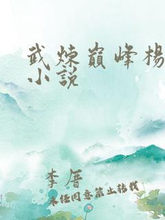 武炼巅峰杨开的小说