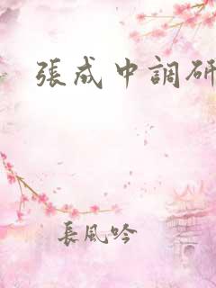 张成中调研