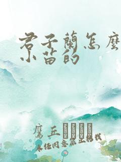 君子兰怎么繁殖小苗的