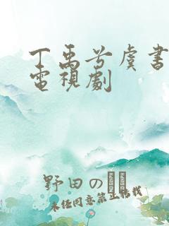 丁禹兮虞书欣的电视剧
