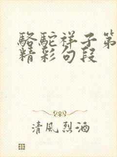 骆驼祥子第三章精彩句段