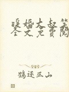 暖婚大叔笑一个全文免费阅读