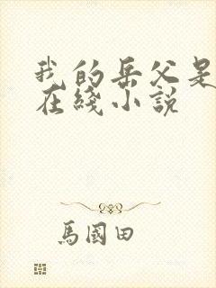 我的岳父是崇祯在线小说