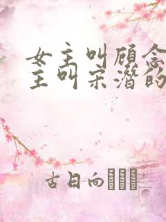 女主叫顾念,男主叫宋潜的小说