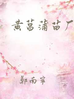 黄菖蒲苗厂家