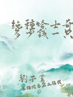 纯种哈士奇幼犬多少钱一只