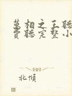 万相之王听书免费听完整小说