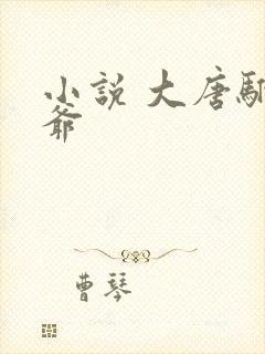 小说 大唐驸马爷