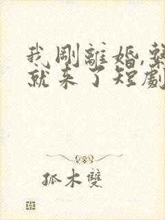 我刚离婚,系统就来了短剧全集