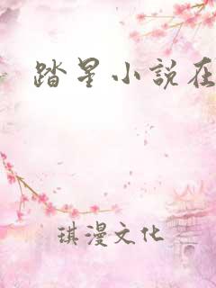 踏星小说在线看