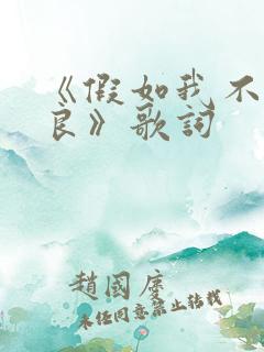 《假如我不再善良》歌词