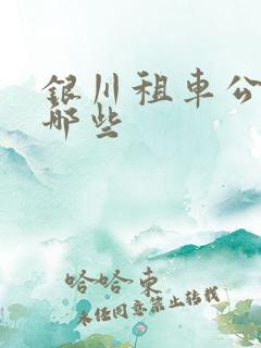 银川租车公司有哪些