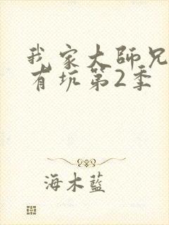 我家大师兄脑子有坑第2季