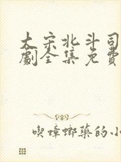大宋北斗司电视剧全集免费观看