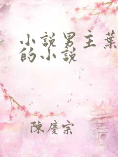 小说男主叶天明的小说