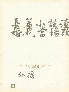 长篇小说渣男逃婚,我当场改嫁了