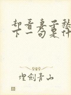 却看妻子愁何在下一句是什么