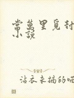 当万里觅封侯 小说