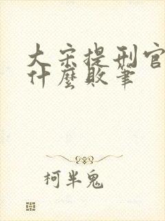 大宋提刑官2为什么败笔