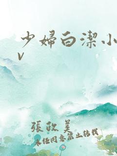 少妇白洁小说av