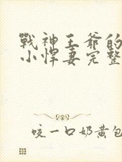 战神王爷的甜宠小悍妻完整版