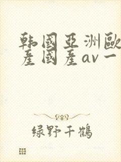 韩国亚洲欧洲日产国产av一区